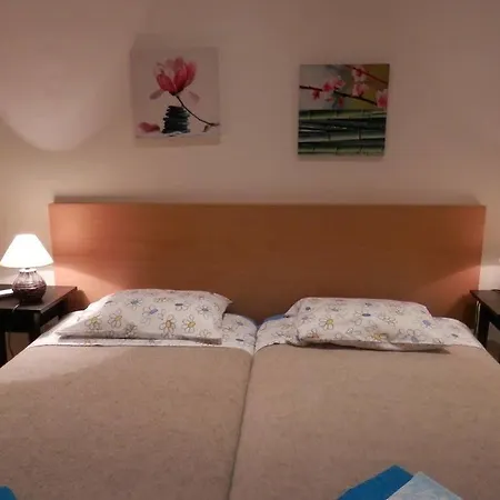 城中心舒适公寓